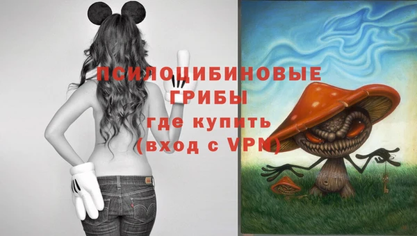 jwh Каменск-Шахтинский